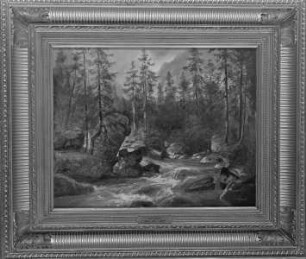 Wildbach im Tannenwald