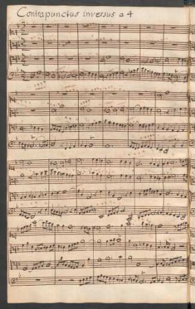 12a. Contrapunctus 12 (rectus)