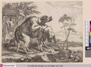 [Zwei spielende Hunde vor einer Statue; Two Playing Dogs in front of a Statue]