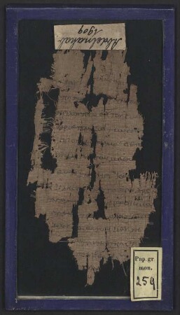 Papyrus - BSB Pap.graec.mon. 259