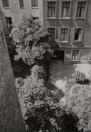 Ohne Titel (Blick aus dem Fenster auf einen Hinterhof)