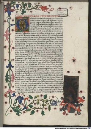 Commentarii de bello Gallico : mit der Fortsetzung des Aulus Hirtius