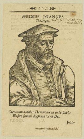 Bildnis des Hadr. Junius Hornanus
