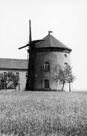 Lampertswalde-Schönborn. Erdholländer