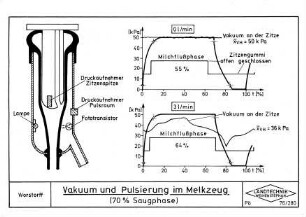 Vakuum und Pulsierung im Melkzeug (70 % Saugphase)