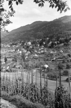 Oberweiler: Blick auf Badenweiler vom Weinberg (Römerberg)