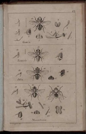 Tab. 42 [bis] Tab. 54 [Abb. siehe arabische Paginierung]
