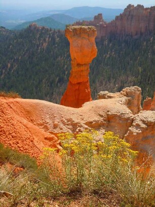 Steingebilde im Bryce Canyon Nationalpark : Bizarr geformte Steingebilde, so genannte "Hoodoos", prägen den Bryce Canyon Nationalpark, aufgenommen am 18. August 2012