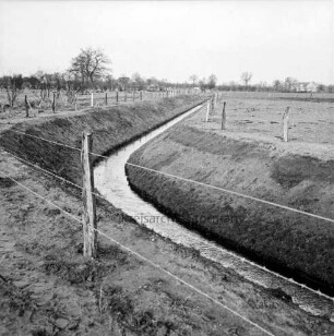 Tremsbüttel-Dorf: Grootbek: Regulierung: Einmündung Lottbek: vorn Weidezaun: im Hintergrund Baum- und Gehölzreihe