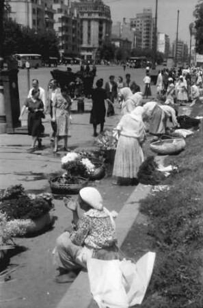 Bukarest: Blumenzigeunerin am Boulevard Bratianu