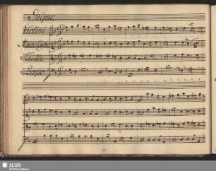 Gigue
