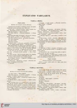 Explicatio tabularum