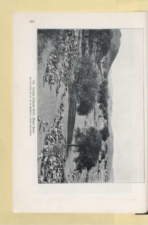 194. Deutsch - Südwest - Afrika (Schaf - Farm)