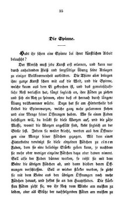 Die Spinne.