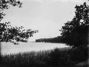 Plönsee : Blick über den Plönsee