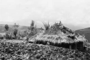 Amhara Hütte : Blick auf eine Hütte in einer Landschaft