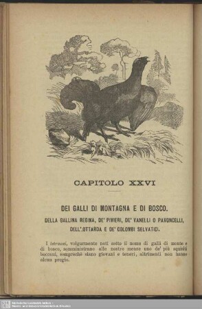 Capitolo XXVI. Dei galli di montagna e di bosco