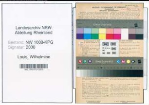 Entnazifizierung Wilhelmine Louis , geb. 16.03.1885 (Kaufm.Angestellte)