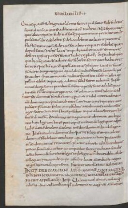 Liber legum novellarum Marciani