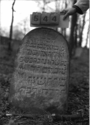 Grabstein 544 (Index: 100115390) Material: Sandstein Zustand: verwittert Maße HxBxT: 81x56x9 cm Beschreibung: Stele mit Rundbogenabschluß Symbolik: Blume: Grabstein 544