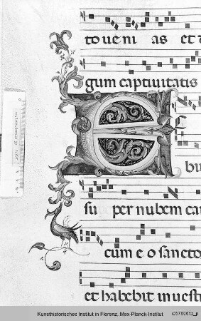 Buchseite mit Text, Neumen sowie Rankeninitiale E - Corale