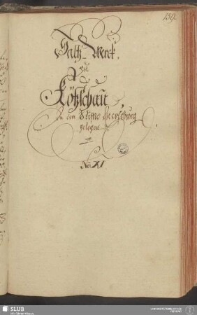 Saltz-Werck, zu Kößschau, In dem Stiffte Merseburg gelegen