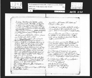 Feuerwerk und Illumination für den [russischen] Großfürsten [Paul I.] in Pillnitz