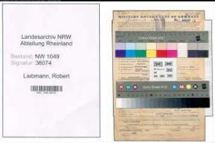 Entnazifizierung Robert Liebmann , geb. 03.01.1889 (Elektroingenieur)