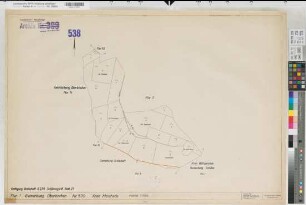 Grafschaft (Schmallenberg), Umlegung Grafschaft, Bl.21 Schätzungsriß Oberkirchen Flur 1