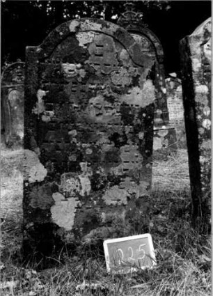 Grabstein 225 [Nir S. 142 Nr. 14.11]