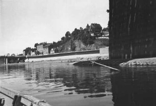 Bober (Hängemal) unter der Meißner Elbbrücke