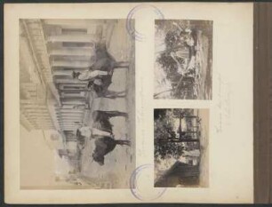 Indios chiquitanos [y] Casas de campo (Sta. Cruz)