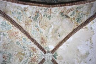 Gewölbebilder mit Drolerien, Ranken- und Laubwerk — Vögel, Ranken- und Laubwerk — Westliche Gewölbekappe