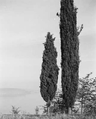 Salò