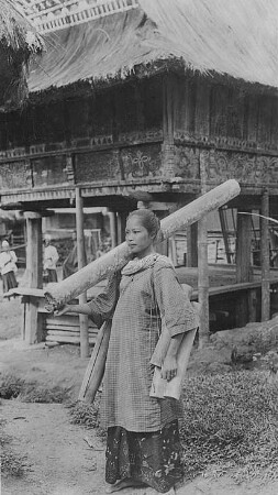 Batakerin mit Wasserbambus? : Sumatra, Indonesien. Batak-Frau mit Wasserbambus
