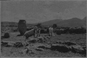 Mallia [Malia?] auf Kreta (Blick v. NW)