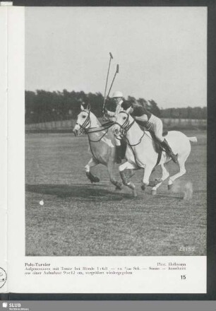 Polo-Turnier