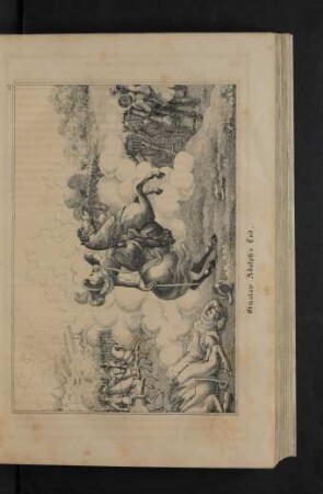 Tafel 13. Gustav Adolph's Tod.