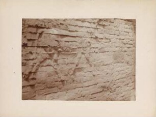 Tierrelief : Tierrelief an einer Mauer in Babylon, freigelegt während der deutschen Ausgrabungsmission unter der Leitung von Johannes Gustav Eduard Robert Koldewey (1899-1917).