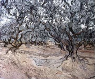 Landschaft mit Olivenbäumen