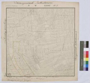 [Dominikal- und Zehntrenten der Standesherrschaft Löwenstein-Wertheim-Rosenberg in der Steuergemeinde Billingshausen (Topograph. Karte 1:2500)