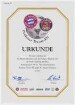Urkunde über die Verleihung der Ehre an die Stadt Lüneburg, Austragungsort des Freundschaftsspiels 1996 Paulaner Traum-Elf gegen den FC Bayern München zu sein, das am Mittwoch den 31.07.1996 stattfand. Eigenhändige Unterschriften Frank Spitzhüttl, Vorstand Paulaner Brauerei AG, und Uli Hoeneß, Management FC Bayern München).