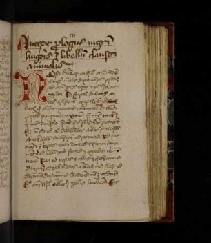 Incipit prologus magistri Hugonis in libellum claustri animalis
