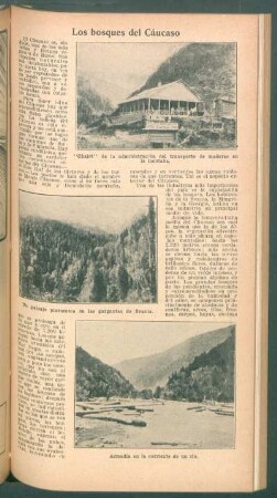 Los bosques del Cáucaso