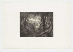 Waldlandschaft, Blatt 60 der Folge "Werke"