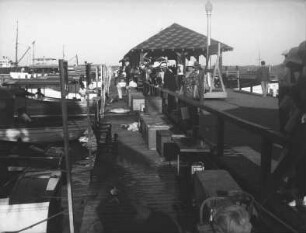 Fischmarkt von Miami (USA-Reise 1933)