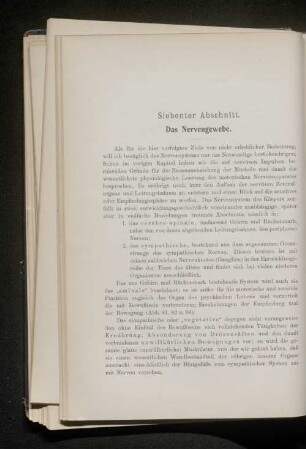 Siebter Abschnitt. Das Nervengewebe.