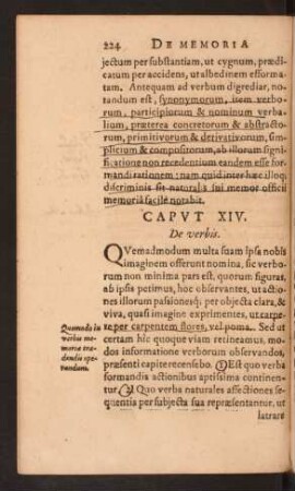 Caput XIV. De verbis.