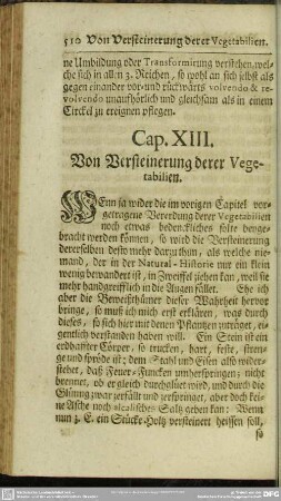 Cap. XIII. Von Versteinerung derer Vegetabilien