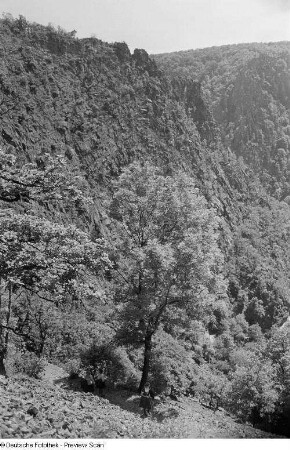 Blick ins Bodetal